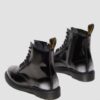 1460 ZIP Arcadia Rub Off Leather Boots