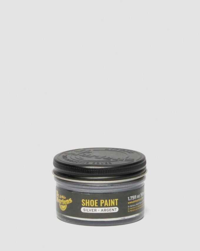 Silver Shoe Paint