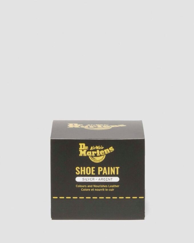 Silver Shoe Paint